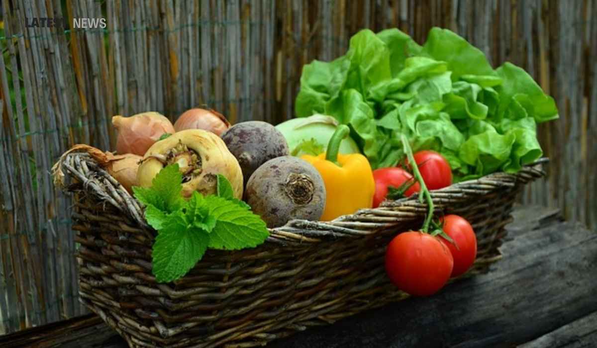 Stay Fit This Winter: Diet Tips to Boost Immunity